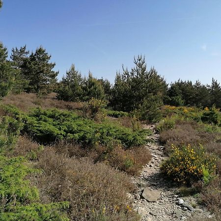 Gite Cote Nature Cabrerolles المظهر الخارجي الصورة