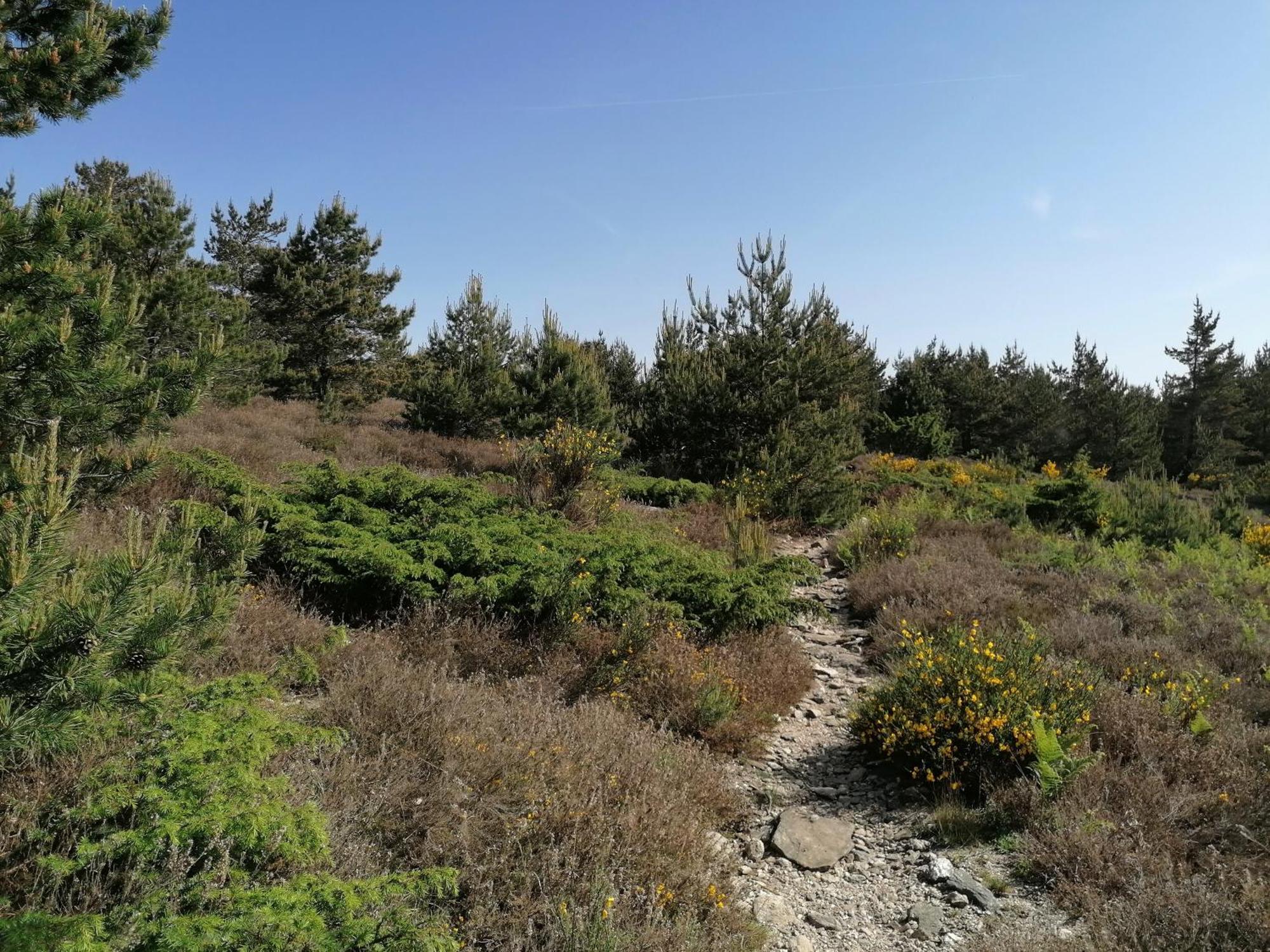 Gite Cote Nature Cabrerolles المظهر الخارجي الصورة